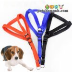 Dog Soft Harness and Leash set