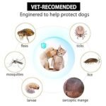 cat dog flea tick collar