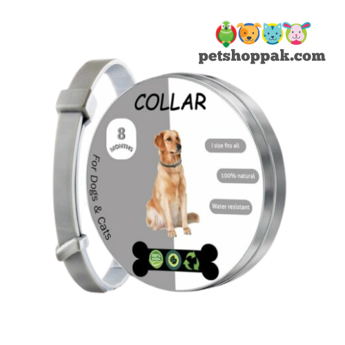 Flea Tick Collar for Cat and Dog