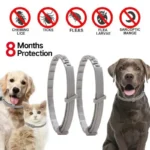 cat dog flea tick collar